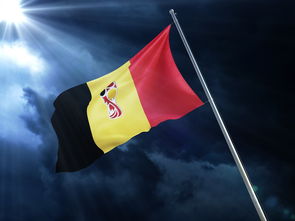 排球赛场焦点！克罗地亚队对阵西班牙队，强强对话引爆全球球迷关注